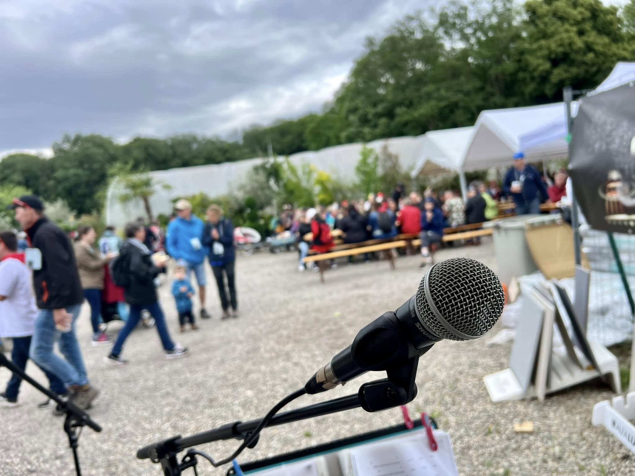 Groupe Eden Seedz - Band musiciens pop folk indie